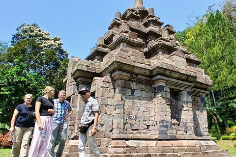 Selogriyo Temple and Java Rice Terrace Guided Trekking Tour Selogriyo Temple Java Rice Terrace Guided Trekking Tour
