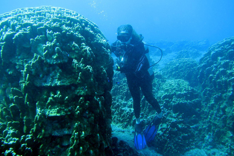 Easter Island – Introductory Dive in the Corals of Rapa Nui Easter Island: Introductory Dive in the Corals of Rapa Nui