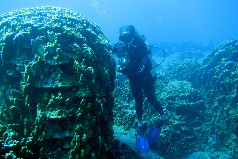 Easter Island – Introductory Dive in the Corals of Rapa Nui Easter Island: Introductory Dive in the Corals of Rapa Nui