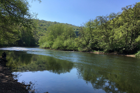 Cardiff: Wye Valley &amp; Tintern Abbey Private Day Voyage