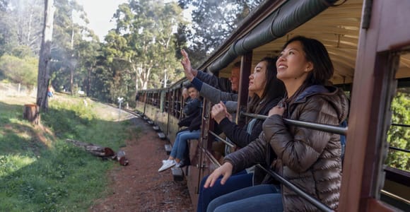 From Melbourne: Puffing Billy Train & Penguin Wildlife Tour