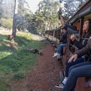 From Melbourne: Puffing Billy Train & Penguin Wildlife Tour
