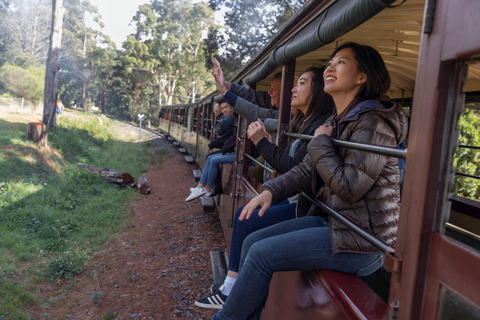 Från Melbourne: Puffing Billy-tåget &amp; Penguins Wildlife Tour