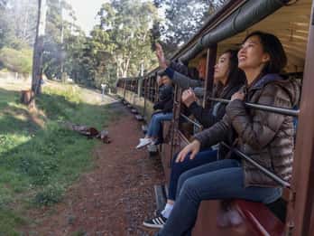 From Melbourne: Puffing Billy Train & Penguins Wildlife Tour
