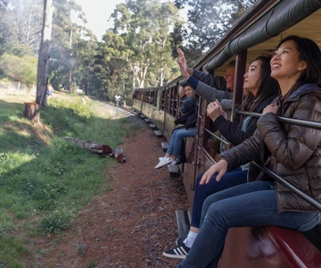 From Melbourne: Puffing Billy Train & Penguins Wildlife Tour