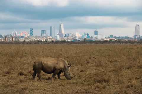 Nairobi National Park-David Sheldrick-Giraffe-Karen Blixen