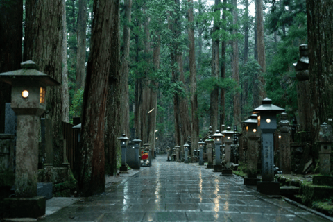 Från Osaka/Kyoto: Mount Koya &amp; Wakayama TourMed Nachi vattenfall