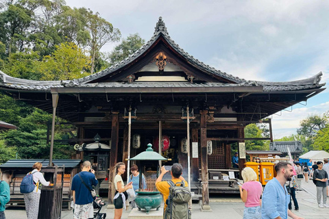 奈良公园：隐秘小径与鹿群导览之旅（含接送服务）