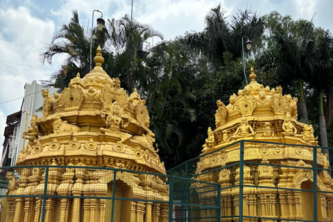 Bangalore: Private Tour Entdecke lokale Edelsteine und heilige Tempel