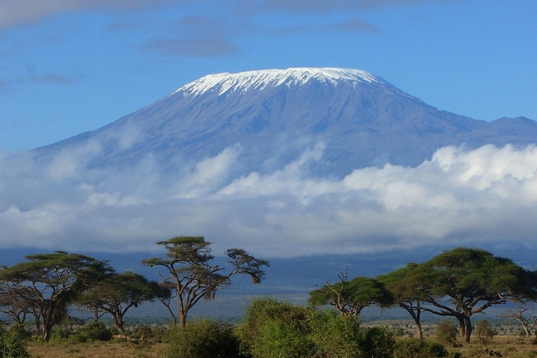 Mount Kilimanjaro Climbing Through Lemosho Route 8 Days
