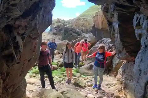 Dublín: Excursión a pie por el Safari de Howth
