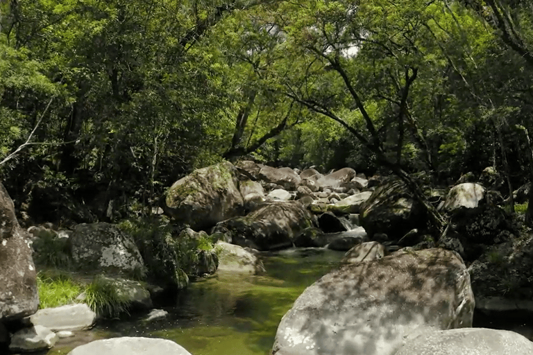 凯恩斯：原住民海岸探险与莫斯曼峡谷之旅凯恩斯原住民海岸探险和莫斯曼峡谷之旅