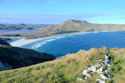 Dunedin City & Otago Peninsula Scenery Day Tour Private Tour