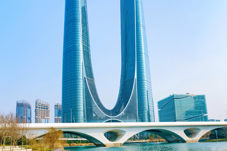 Hangzhou: Ancient to Future Private Day Tour with Boat Ride