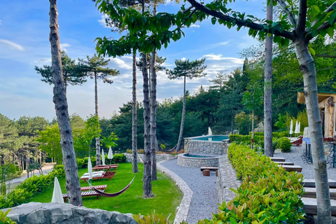 Bar: Montenegro Highlights Tour for Cruise Passengers