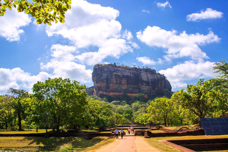 Jednodniowa wycieczka z Kolombo do Sigiriya Lion Rock