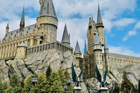 Osaka: Explore Cultural Gems with Pickup & Private Guide