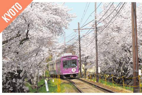 Have Fun in KANSAI Pass (1 Week Free Pass) 1 Week Pass with access to 6 facilities