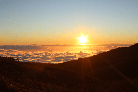 Tenerife: Teide National Park Quad Excursion
