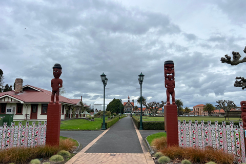 DE ROTORUA: EXCURSÃO DE MEIO DIA AO PAÍS DAS MARAVILHAS GEOTÉRMICAS WAI-O-TAPU