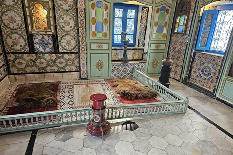 Excursión de un día a Cartago y Sidi Bou Said