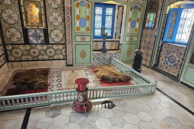 Excursión de un día a Cartago y Sidi Bou Said