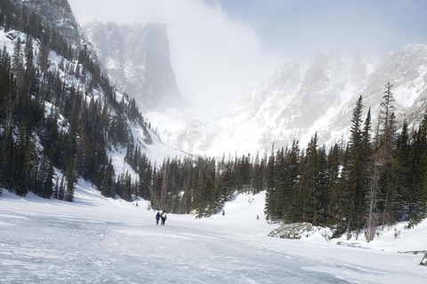 Women's Snowshoeing Tour: Rocky Mountain National Park