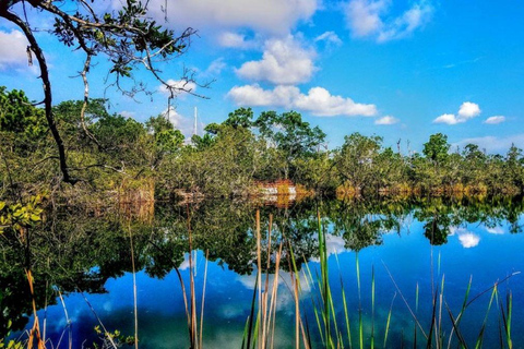 Florida Keys: Up The Keys Nature Tour