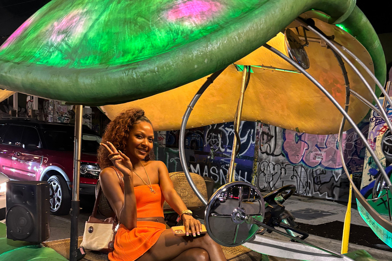 Miami: Graffiti & Street Art Tour in Wynwood Wynwood Graffiti’s Private Tour 2h