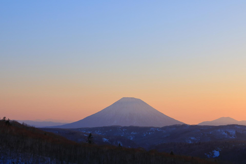 Sapporo Day trip: Otaru, Hokkaido Fuji Cherry Blossom Bus