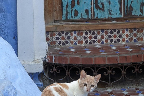 Visite privée de 3 jours à Chefchaouen et Fès depuis Tanger