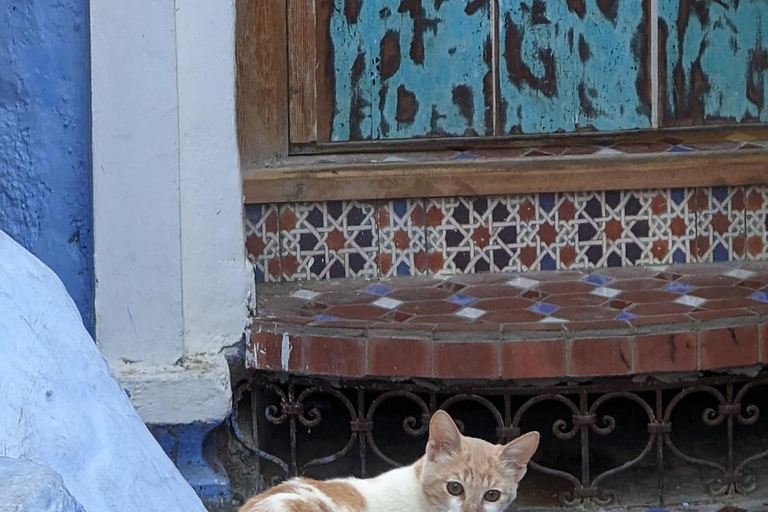 Visite privée de 3 jours à Chefchaouen et Fès depuis Tanger