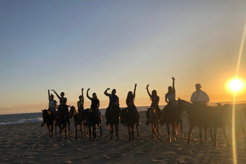 Sunset by Horse on the Beach