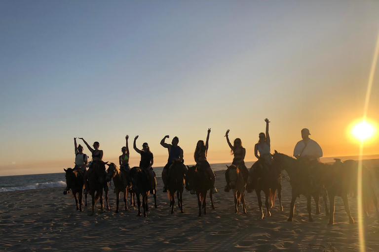 Sunset by Horse on the Beach