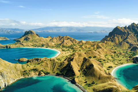 Excursão de um dia a Komodo em barco rápido