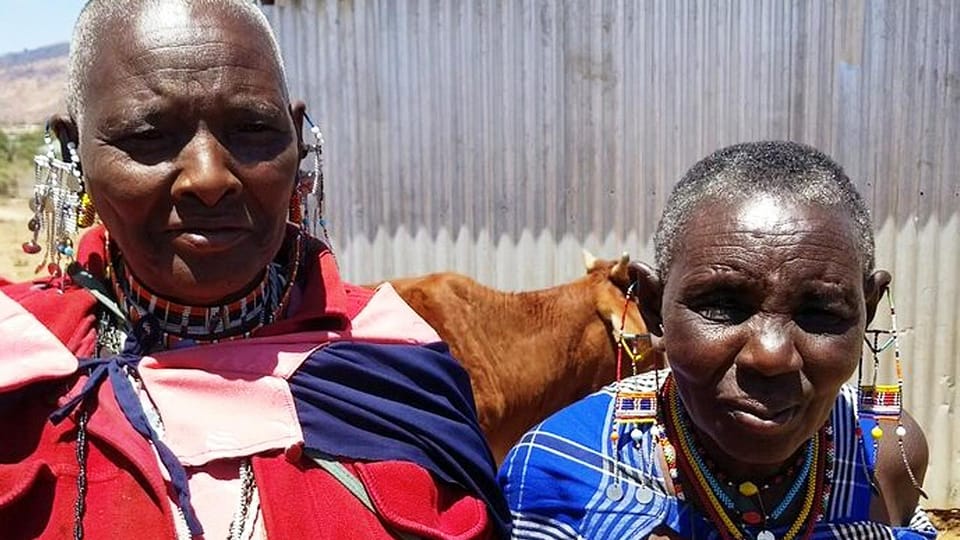 Maasai Village Experience Day Tour GetYourGuide