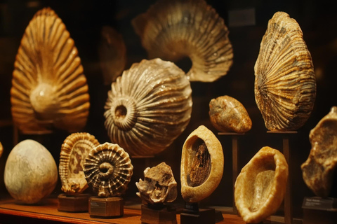 Prywatna wycieczka z przewodnikiem po Muzeum Morza w Punta del Este