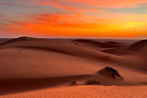 Desde Mascate: 2 días, 1 noche en Wahiba Sands