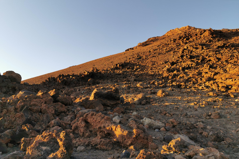 Tenerife: Island Tour with Teide Volcano and Lunch