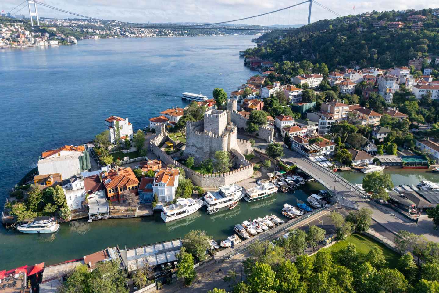 Istanbul: Bosphorus Cruise w/Anatolian Fortress Stop over - Soft Drinks, Snack without Anatolian Fortress Museum Entry