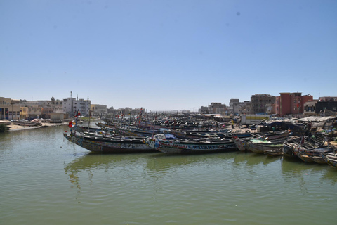 Dakar: 2-Day Gorée Island, Dakar, and Pink Lake Tour