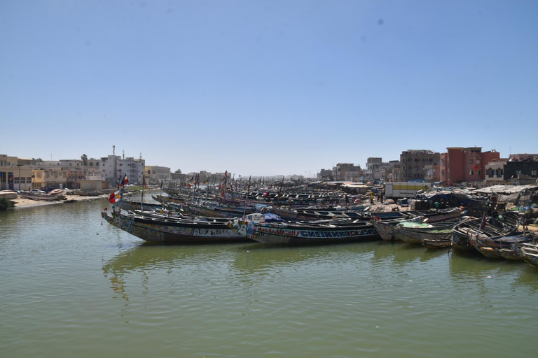 Dakar: 2-Day Gorée Island, Dakar, and Pink Lake Tour