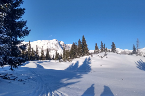 Wien: 2-tägige Alpen-Wanderung mit Tourguide und Transfer
