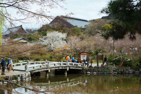Nara: Private Car Tour with Pickup from Osaka or Kyoto