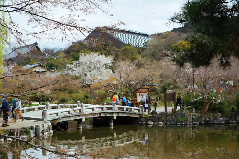 Nara: Private Car Tour with Pickup from Osaka or Kyoto