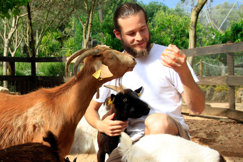 Lloc de Menorca Animal Park: Wildlife & Nature Experience