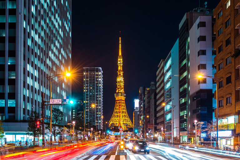 Tour privado de la ciudad de Tokio con conductor de habla inglesa