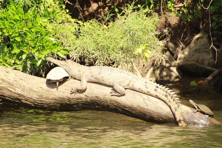 Kuranda Riverboat Tour