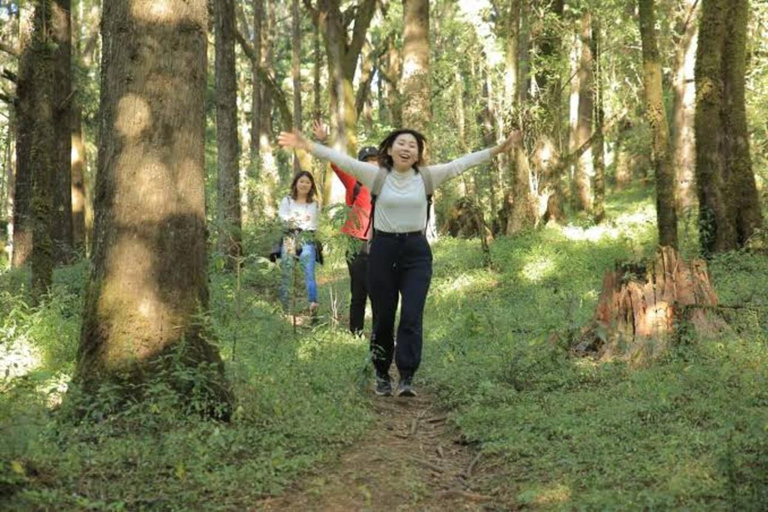 From Addis Ababa: Menagesha Suba Forest Hike & Wildlife Tour