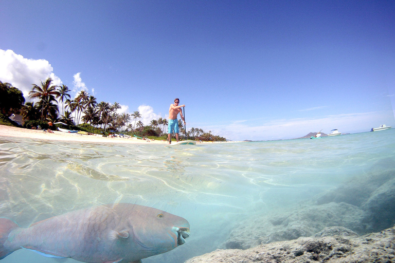 Oahu: Kailua Stand Up Paddle Board lektionKailua: 2,5 timmars SUP-lektion